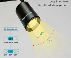 CCT Tunable track spot